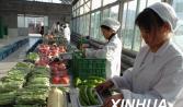汕頭市遠盛餐飲管理策劃有限公司嚴控餐飲食品安全風(fēng)險