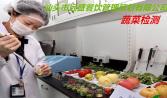 因為年輕，所以我們創(chuàng)意無限。 因為專業(yè)，所以我們盡善盡美。 因為有你，所以我們擁有未來。