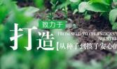 汕頭遠盛餐飲以標準化打造蔬菜配送樣本